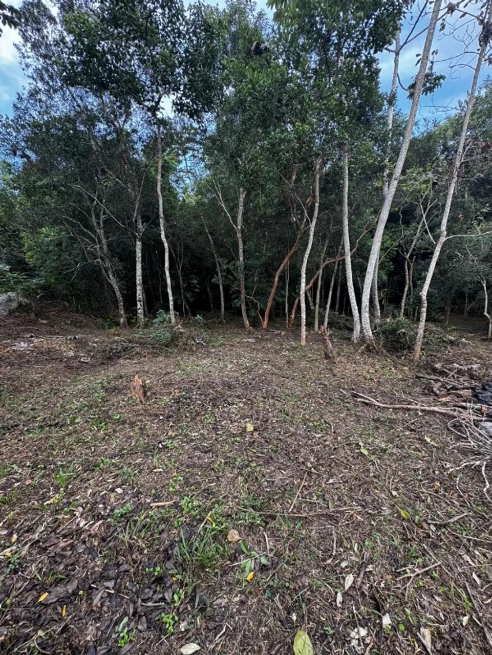 TERRENO RESIDENCIAL em FLORIANÓPOLIS - SC, RATONES - Foto 2