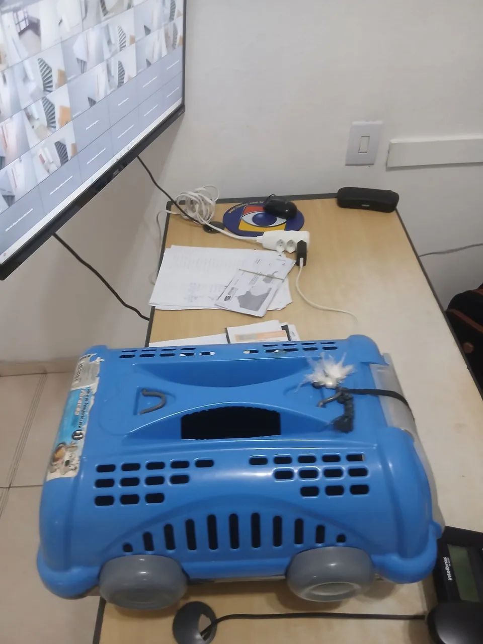 Casinha de cachorro ?  - Foto 2