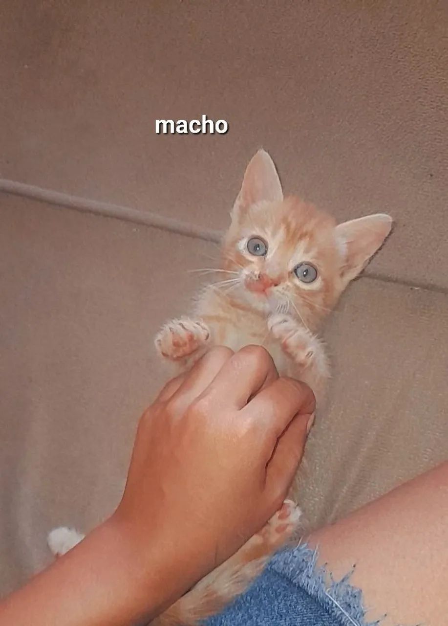  doação