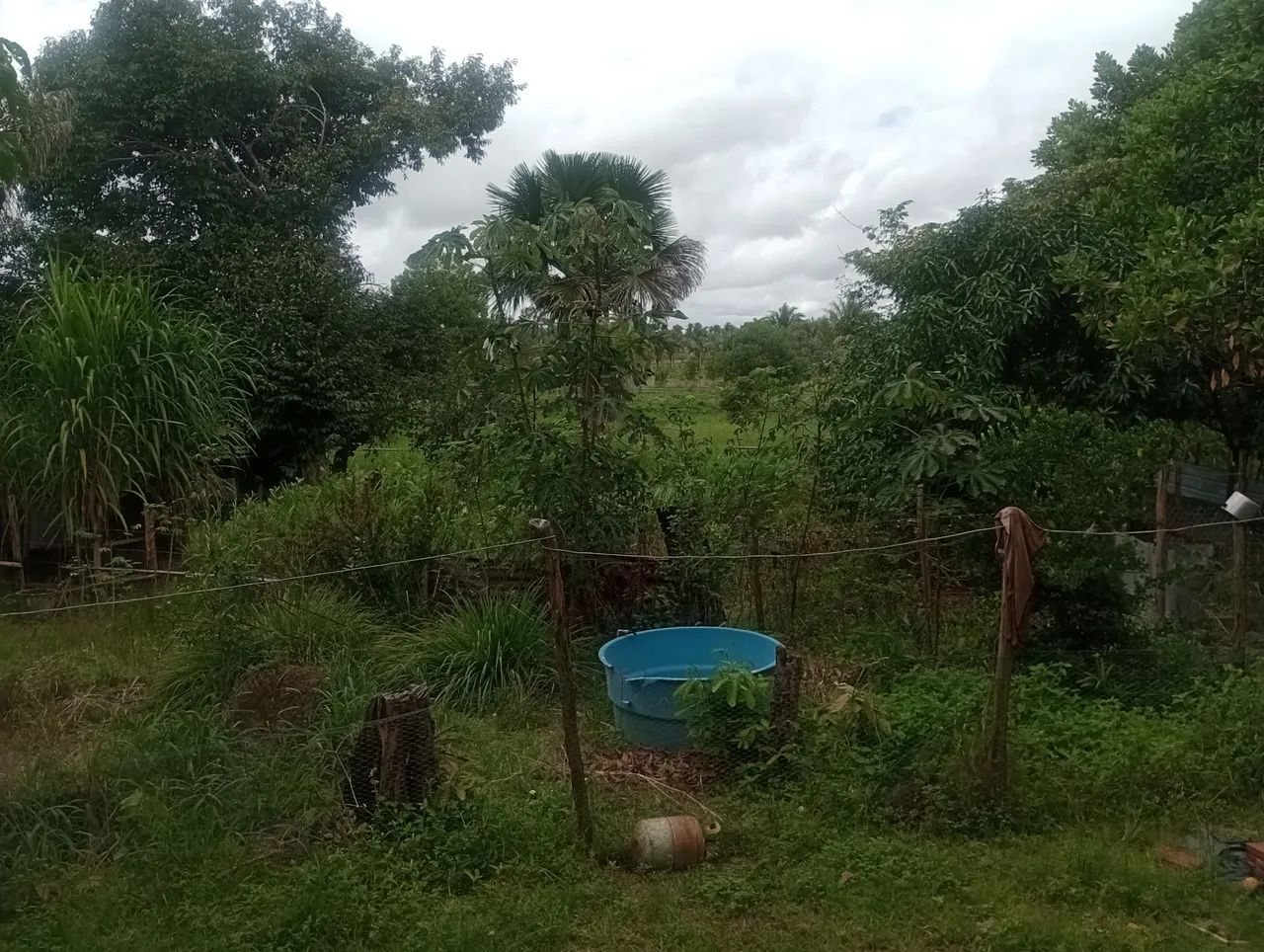 Chácara  - Foto 2