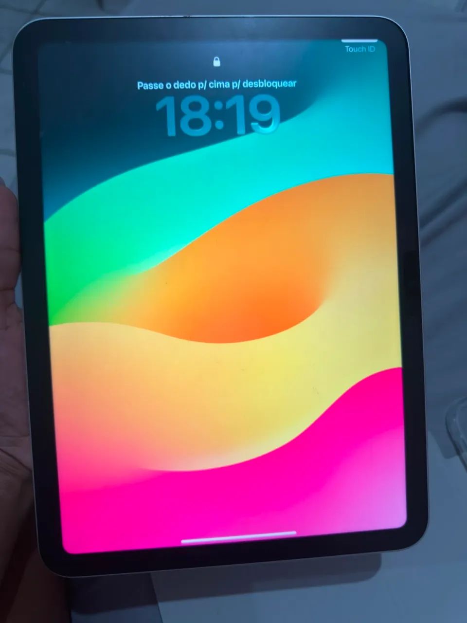 Novo  - Foto 2