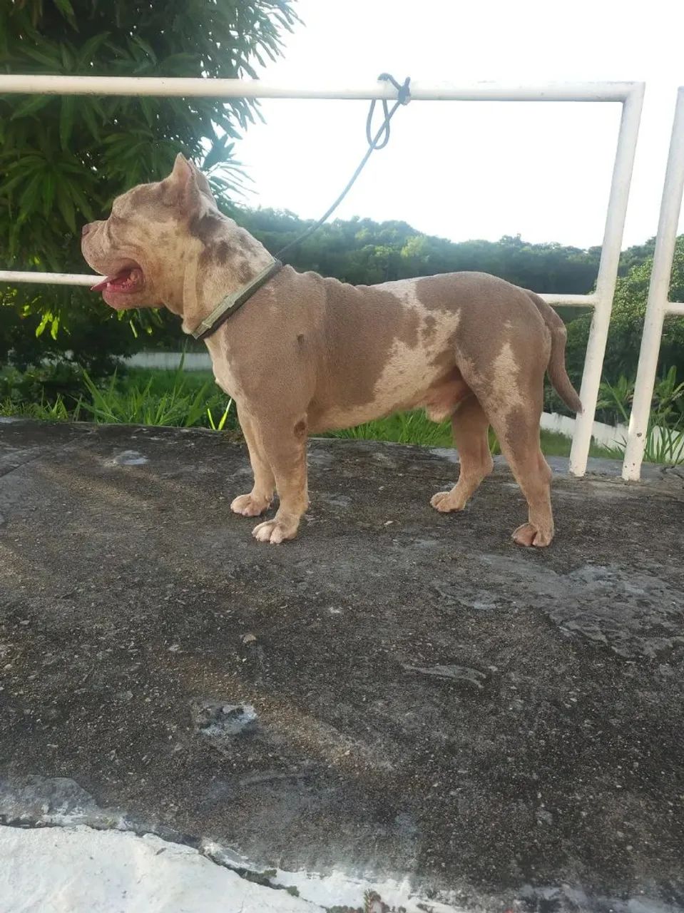A procura de uma namorada . - Foto 2