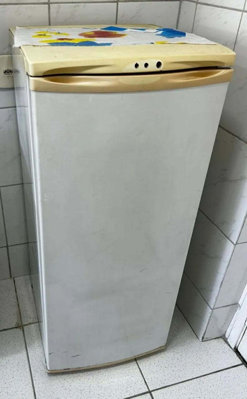 Freezer Vertical Electrolux 