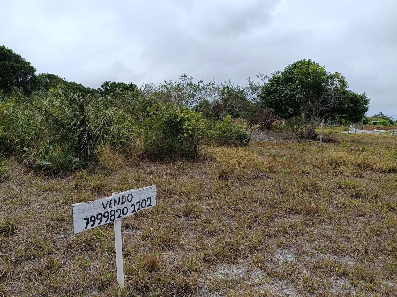 Terreno no Angelim  jatobá  - Foto 2