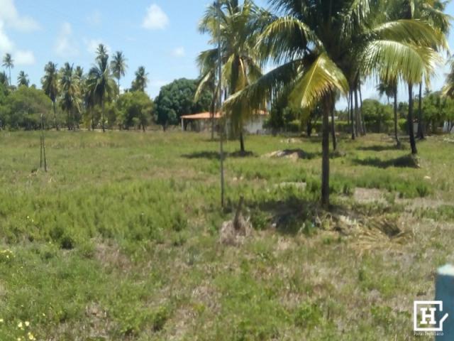 Chácara à venda - no robalo - Foto 16