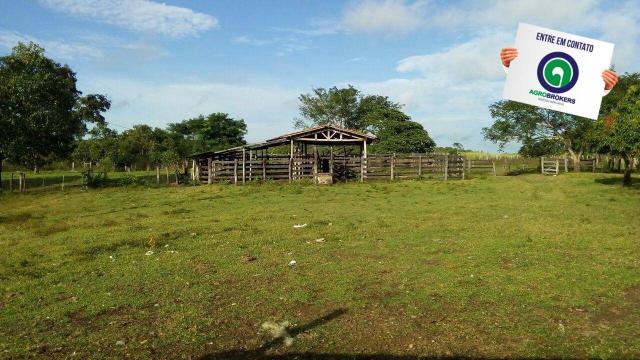 Fazenda na região livramento - Foto 2