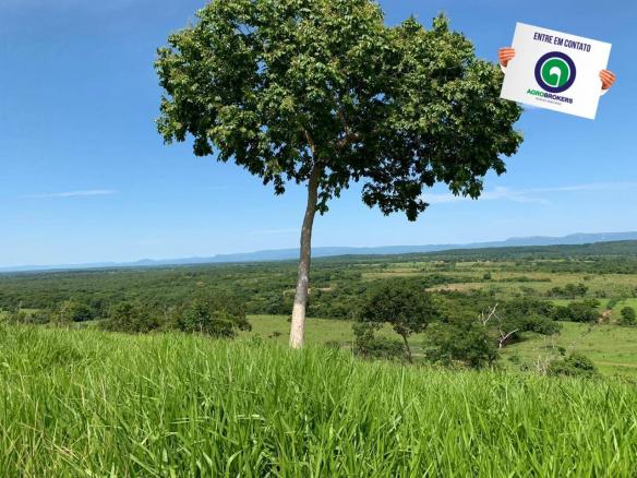 Fazenda 970 ha na beira do asfalto estrada de cáceres - Foto 10