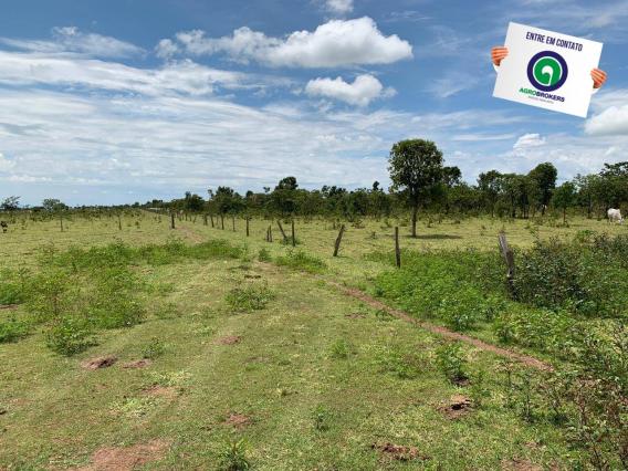 Fazenda 100 ha região de bom jardim - Foto 4