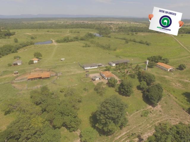 Fazenda 970 ha na beira do asfalto estrada de cáceres - Foto 9