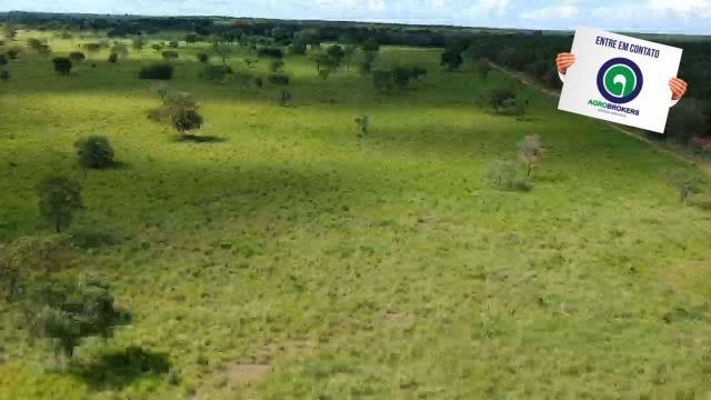 Fazenda 512 ha em livramento - Foto 3