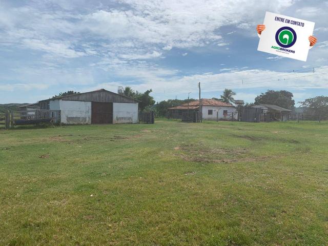 Fazenda 970 ha na beira do asfalto estrada de cáceres - Foto 13