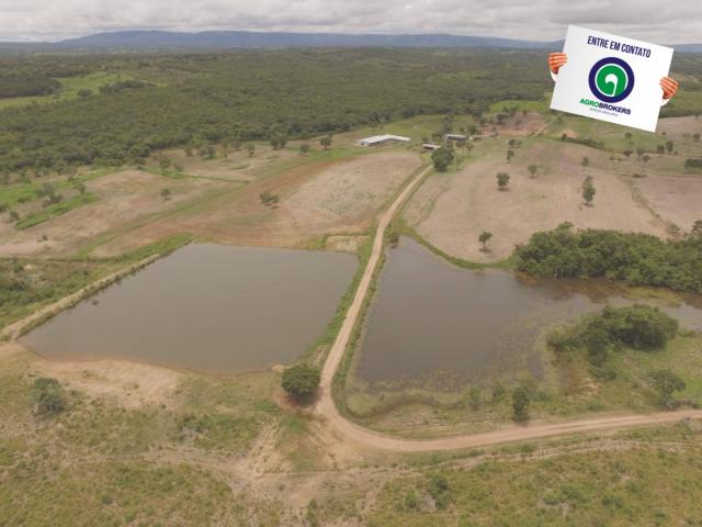 Fazenda 400 ha região de acorizal - Foto 3