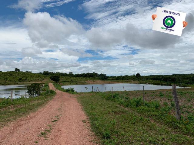 Fazenda 400 ha região de acorizal - Foto 15