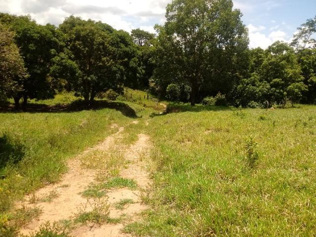 Sítio 2,5 alqueires - Foto 10