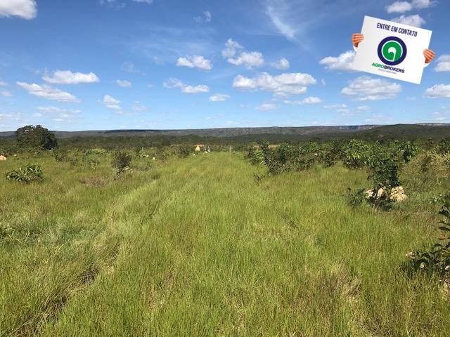 Fazenda 1000 ha no manso - Foto 8