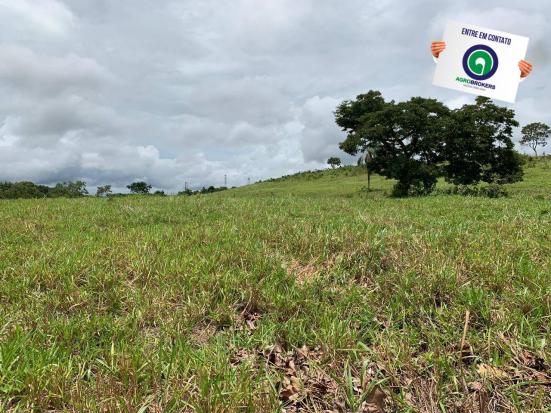 Fazenda 400 ha região de acorizal - Foto 14