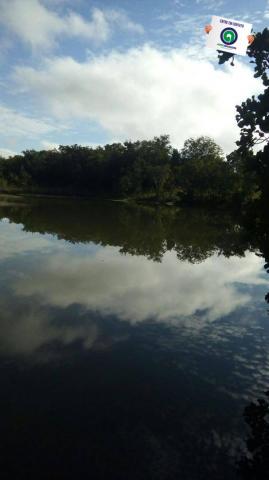 Fazenda na região livramento - Foto 6
