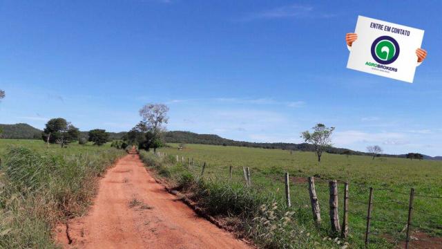 Fazenda 1.650 ha sentido caceres - Foto 17