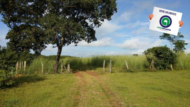 Fazenda na região livramento - Foto 13