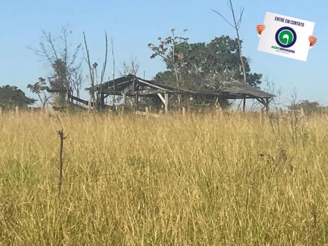 Fazenda 450ha beira do asfalto - Foto 8