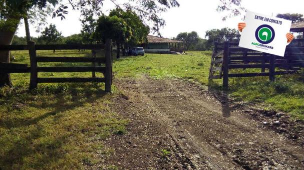 Fazenda na região livramento