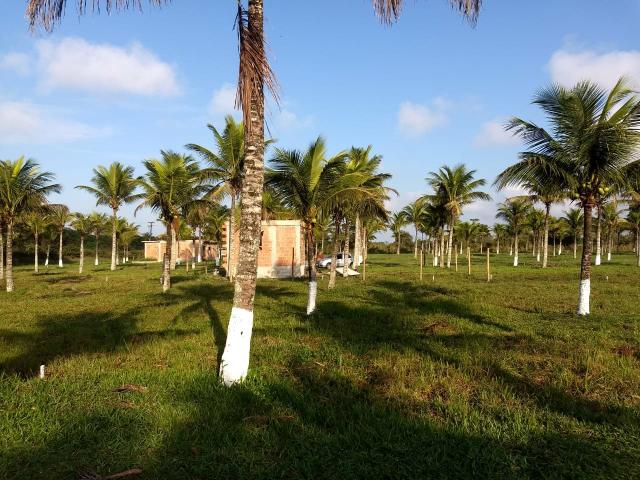 Lotes próx a Búzios - JJ - Foto 2