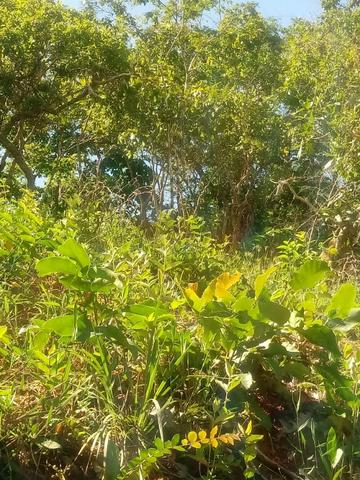 Fazenda em Unaí - MG - Foto 17