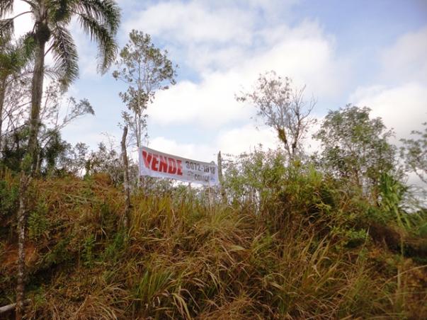 Chácara à venda em Serne de baixo, Bocaiúva do sul cod: * - Foto 3