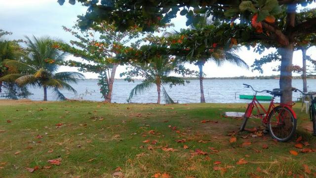 Bon: Cod 1508 Jardim - Saquarema - Foto 7