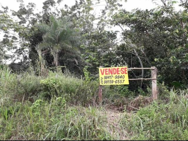 Terreno agrícola (Não tem igarapé)