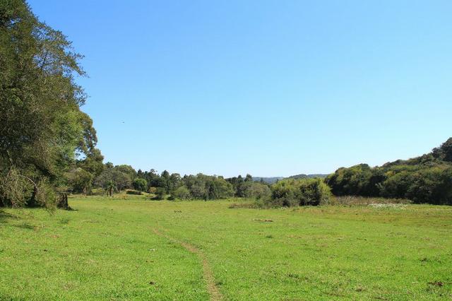 Chácara Araucária, 284.000m², tanques, nascente - Foto 9