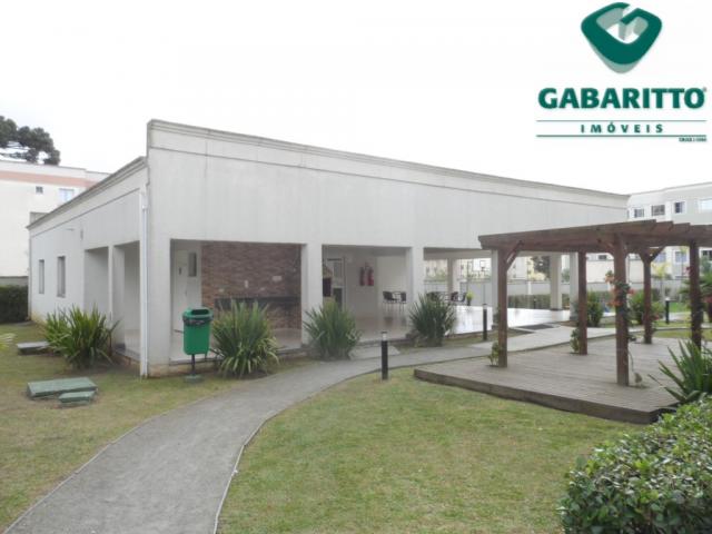 Apartamento para alugar com 2 dormitórios em Pinheirinho, Curitiba cod:00419.001 - Foto 15
