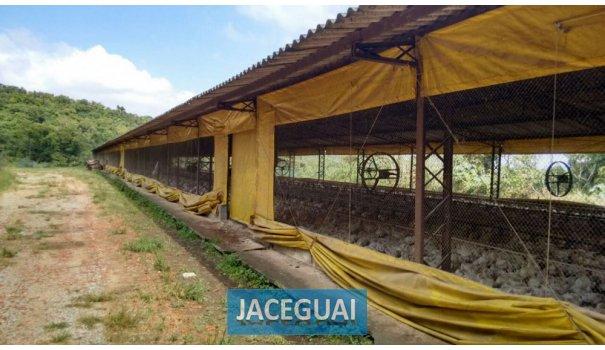 Chácara de 16 alqueires com chales maravilhosa - Foto 6