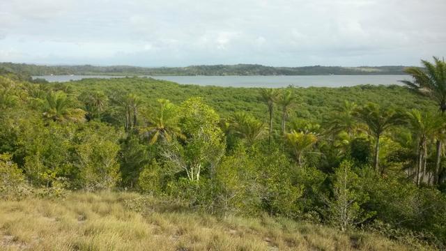 Fazenda na Baía de Camamu e península de Maraú - Foto 3