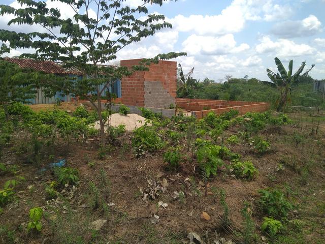 Meia data 12/15 bairro Planalto - Foto 6
