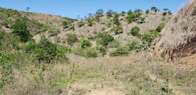Fazenda 104 hectares , próximo de Governador Valadares MG - Foto 8