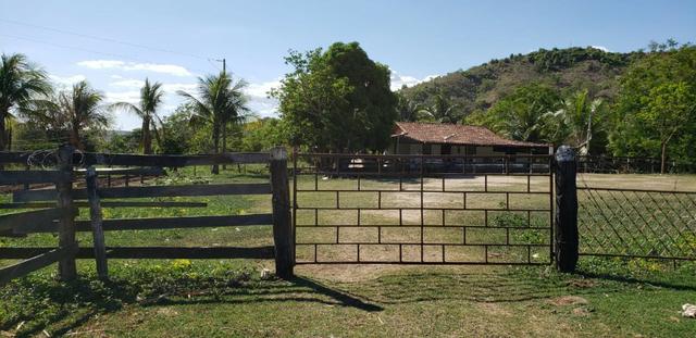 Fazenda 104 hectares , próximo de Governador Valadares MG - Foto 12