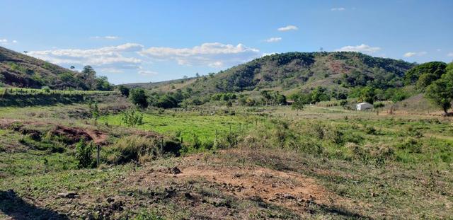 Fazenda 104 hectares , próximo de Governador Valadares MG - Foto 14