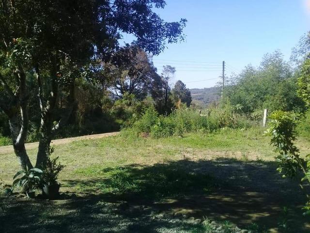 Sítio - Foto 5