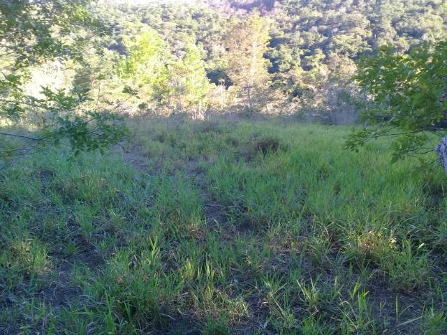 Excelente sitio em Valença Bahia - Foto 9