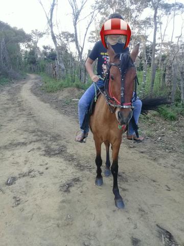 Piquira de picado - Foto 2