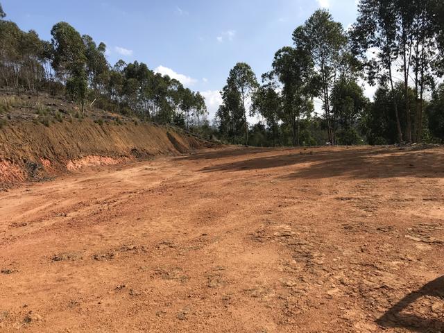Vendo Fazenda - Foto 12