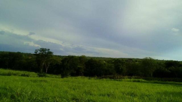 Fazenda Ribeirão