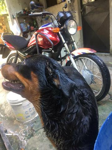 Fan 125cc - Foto 4