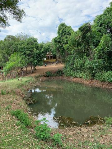 Chácara em Alexânia-GO. (Aceita Permuta) - Foto 19