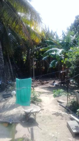 Sitio com casa maruim - Foto 2