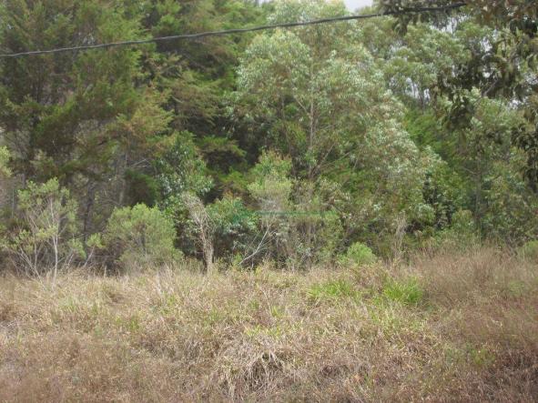 Terreno à venda, 2241 m² por R$ 80.000,00 - Vieira - Teresópolis/RJ - Foto 8