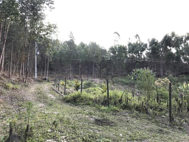 Vendo Fazenda - Foto 17