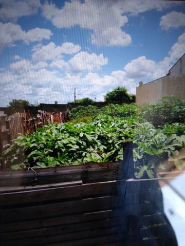 Vende Terreno 300m. Aceita Proposta - Foto 2