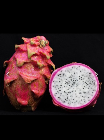 Mudas de pitaya - ORGÂNICAS 